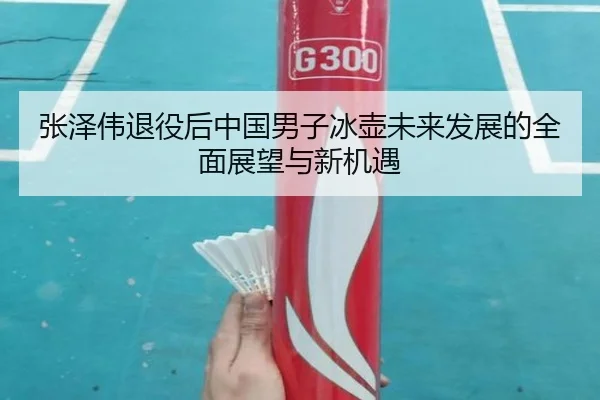 张泽伟退役后中国男子冰壶未来发展的全面展望与新机遇