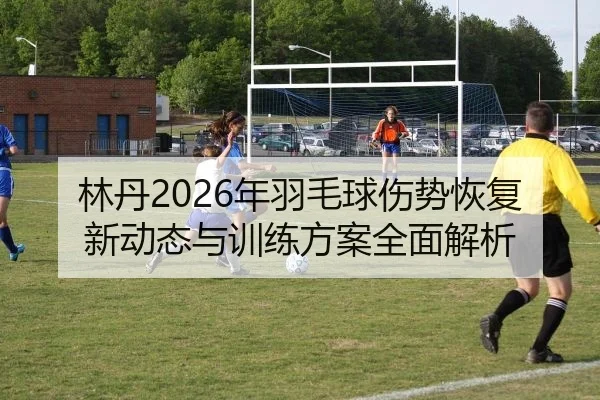 林丹2026年羽毛球伤势恢复新动态与训练方案全面解析